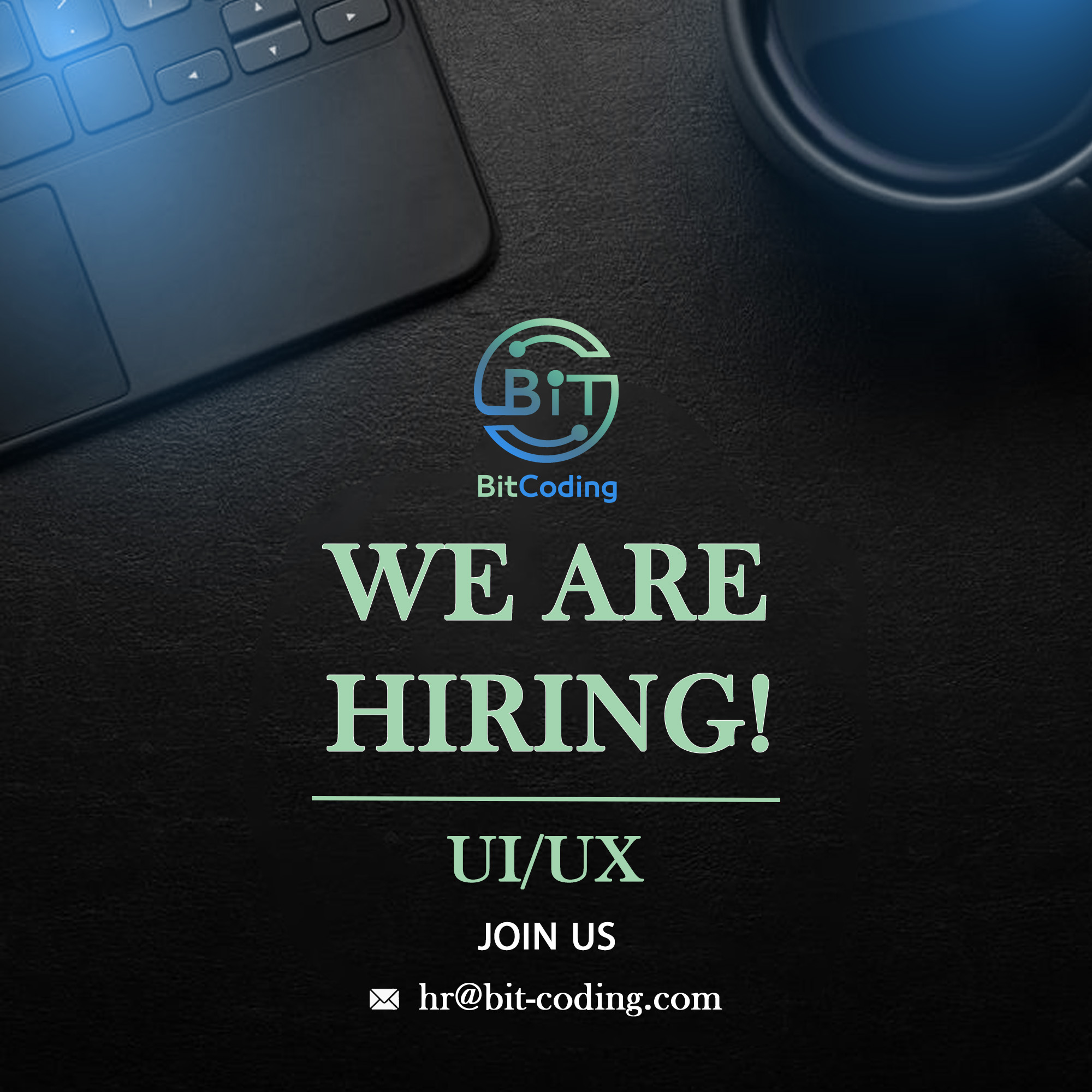 UI/UX Designer